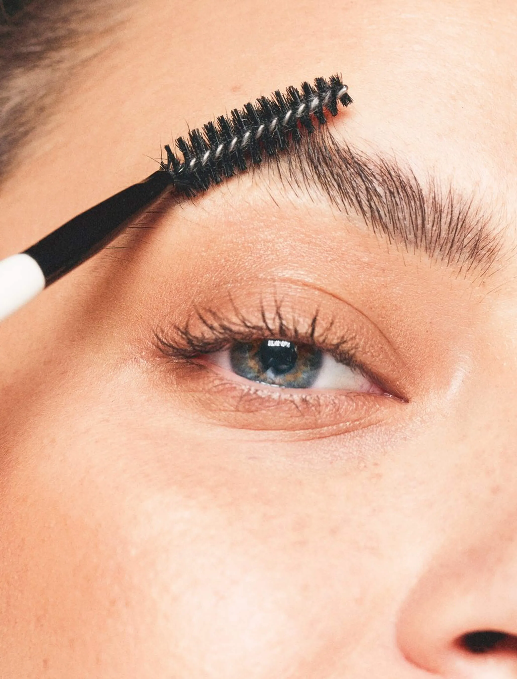 Closeup of spoolie running through eyebrow above a half-open eye